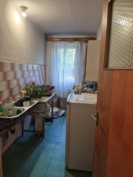 Colentina, Teiul Doamnei