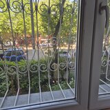 Clentina, Teiul Doamnei